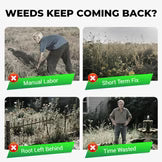 Cyclosinone Herbicide Granules  🔥 Buy 1 Get 1 Free @599 🔥