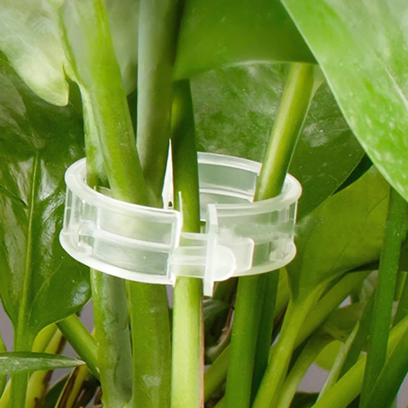 100PCS Plant Support Clips for Tomato & Vine Growth