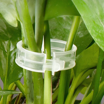 100PCS Plant Support Clips for Tomato & Vine Growth